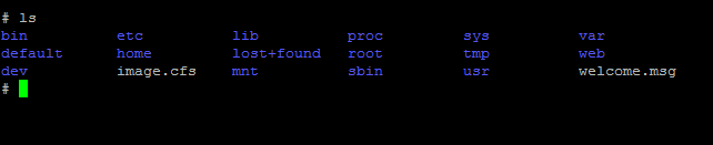 Ls output in the shell