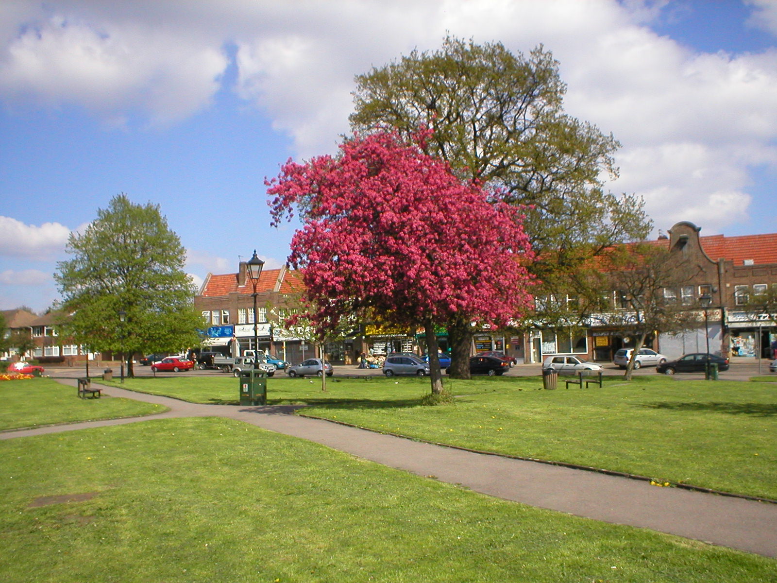 Northolt In Bloom